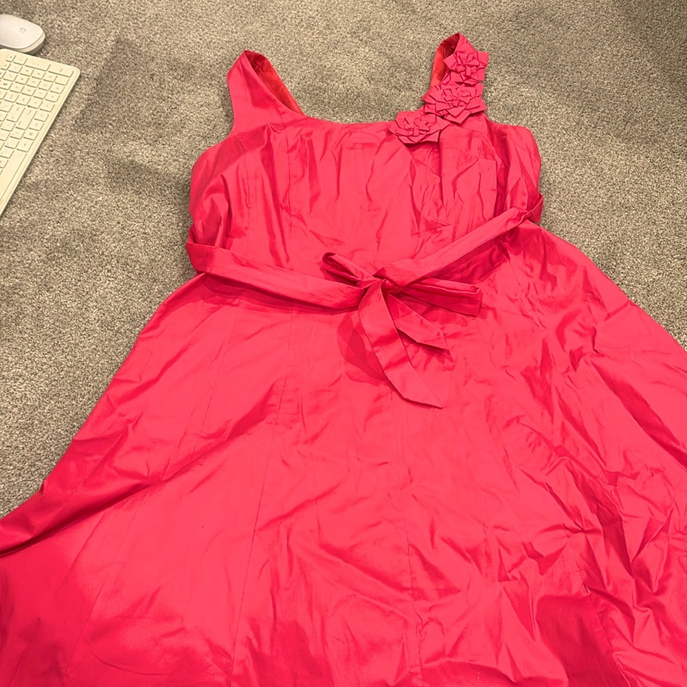 Gorgeous fully lined dresss. Sleeveless with flower details. Only worn once